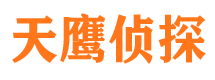 林甸侦探公司